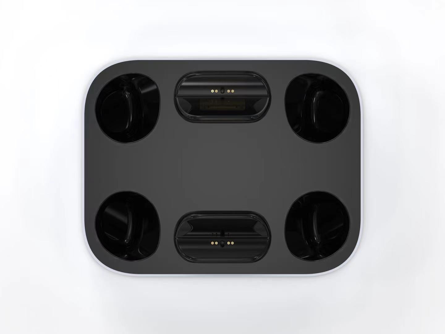PS5 Dual-Ladestation für Gamepads