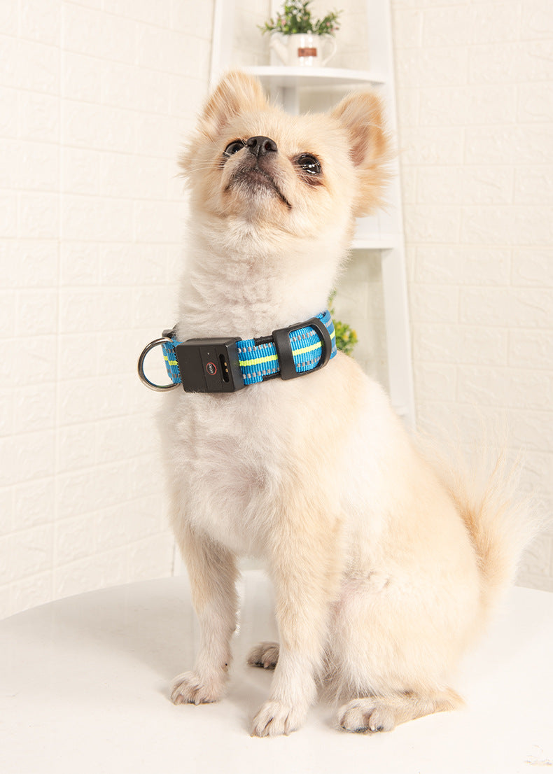 Leuchtendes Hunde-Halsband – Bild 2 | LuxeStyle