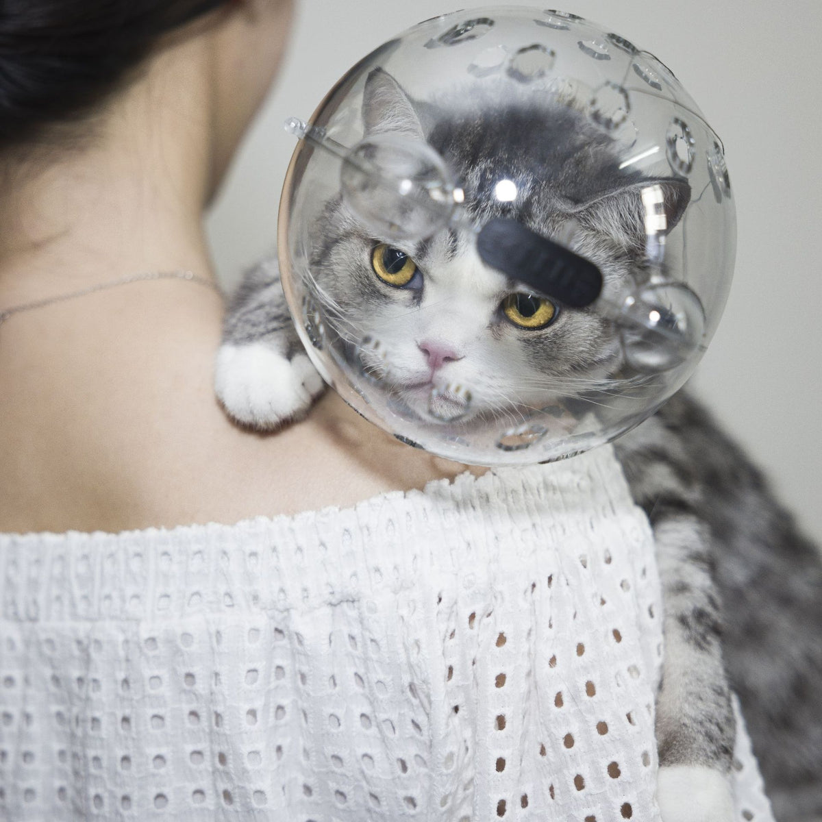 Anti-Kratz- und Leckschutz für Katzen – Bild 8 | LuxeStyle