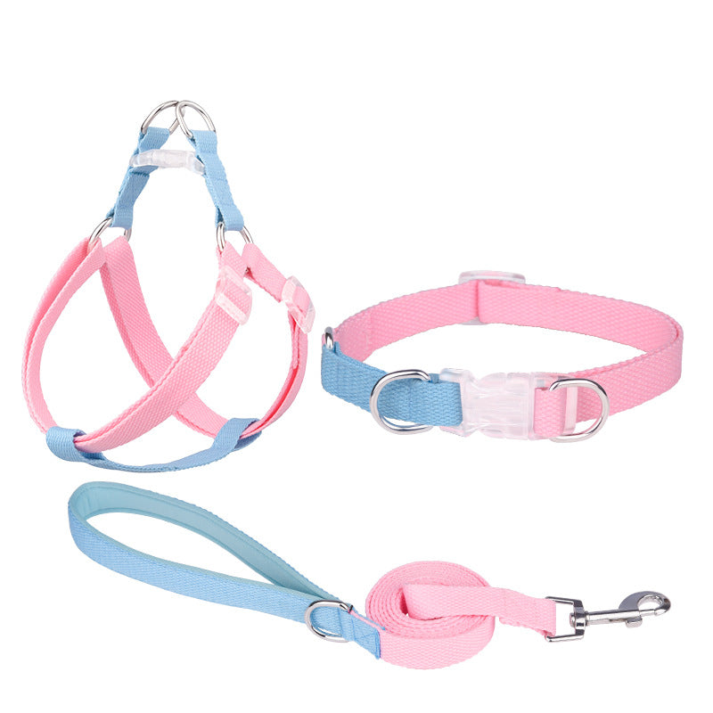 Polyester-Halsband mit Leine und Geschirr – Bild 4 | LuxeStyle
