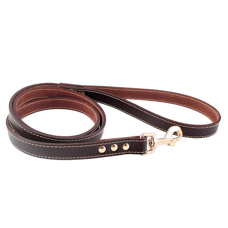 Hautleder Halsband für Hunde – Bild 1 | LuxeStyle