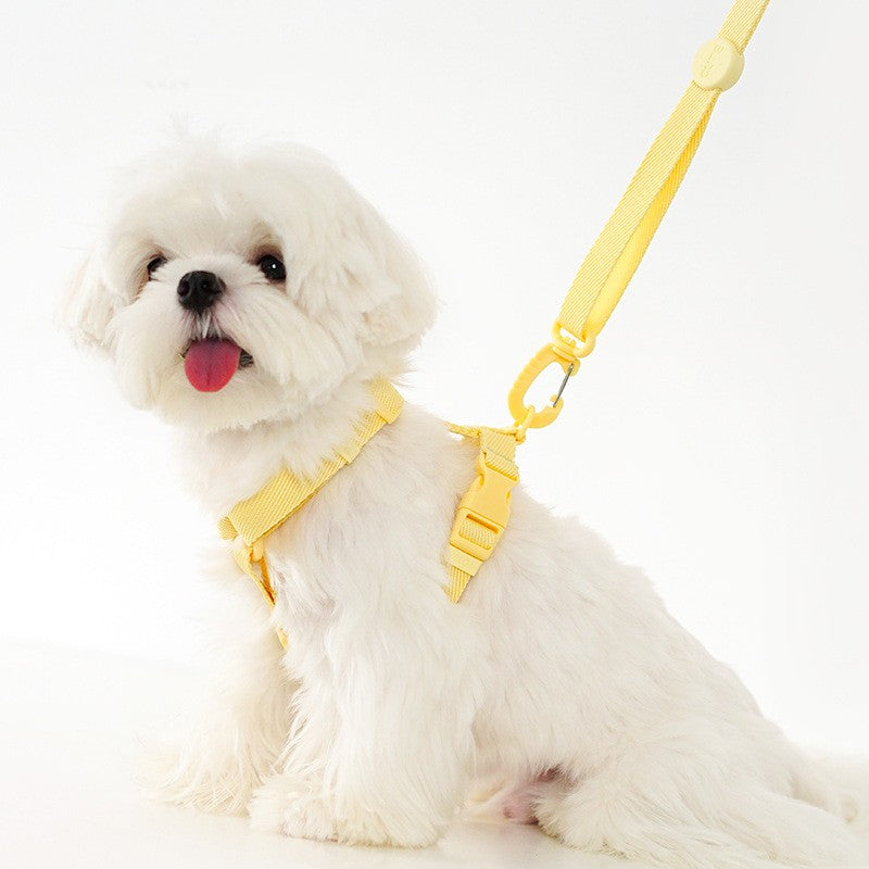 Macaron H-Geschirrset für Katzen & Hunde – Bild 3 | LuxeStyle