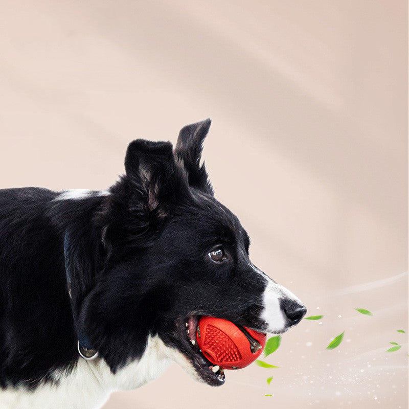 Gummiball für Hunde – Bild 3 | LuxeStyle