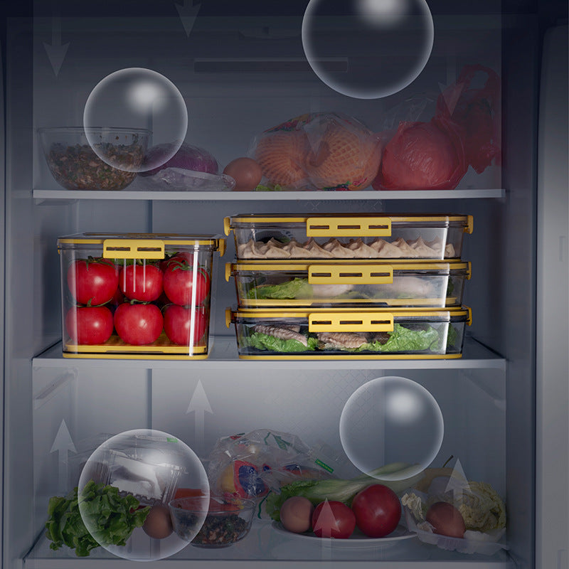 Transparente Kühlschrank-Aufbewahrungsbox – Bild 16 | LuxeStyle