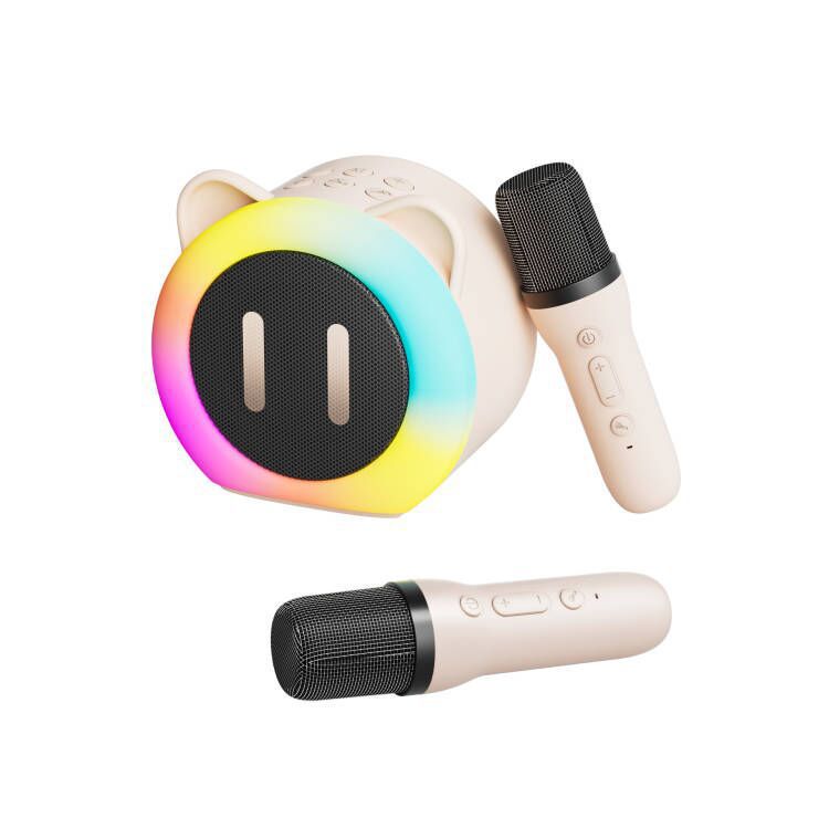 Karaoke Bluetooth Lautsprecher mit Mikrofon