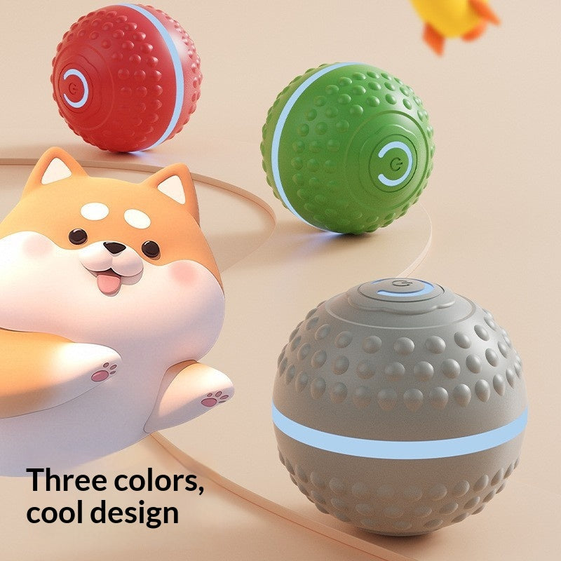 Rolling Ball Spielzeug für Hunde & Katzen