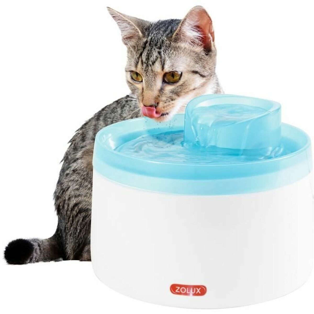 Trinkbrunnen für Katze & Hund – Für mehr Vitalität