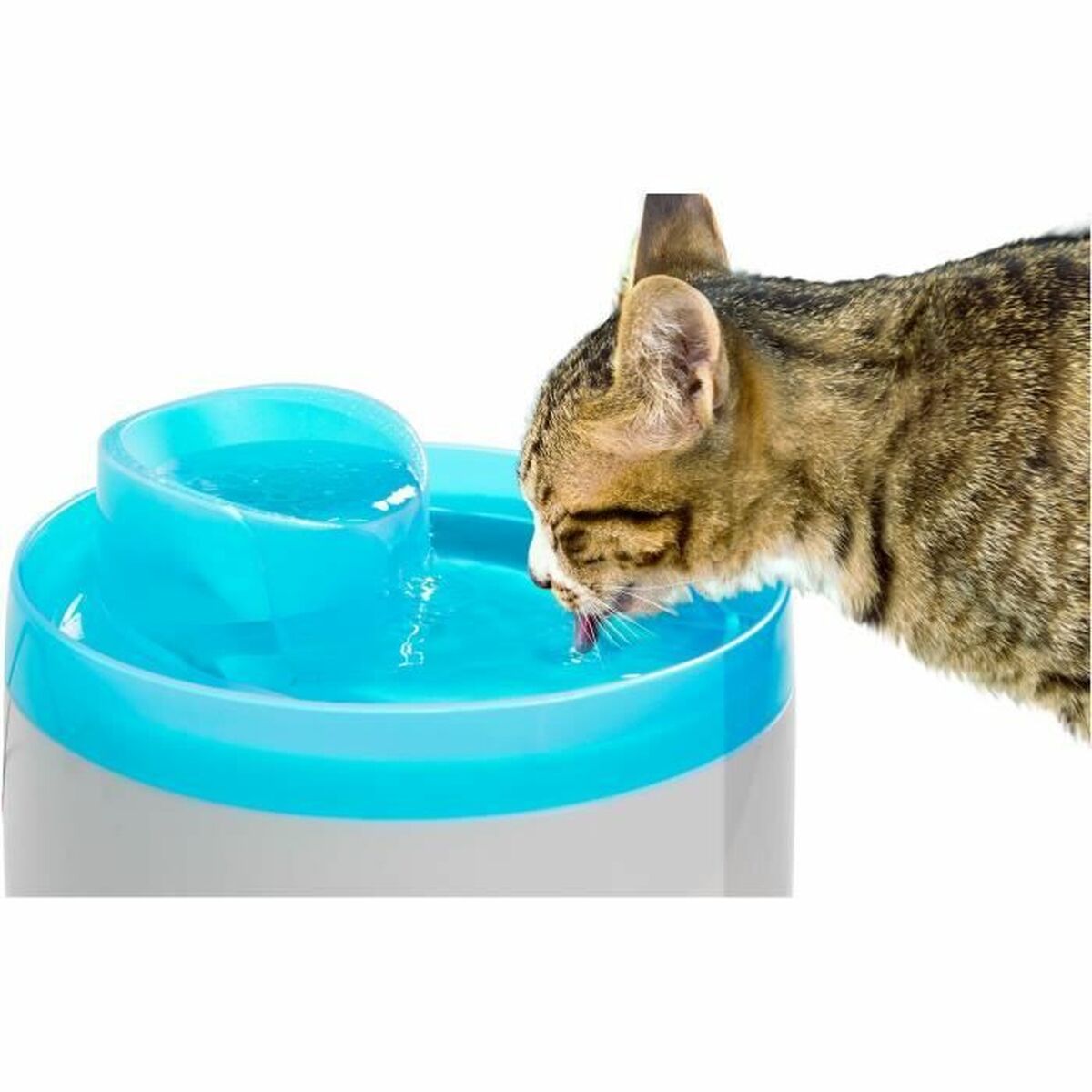 Trinkbrunnen für Katze & Hund – Für mehr Vitalität – Ansicht 4