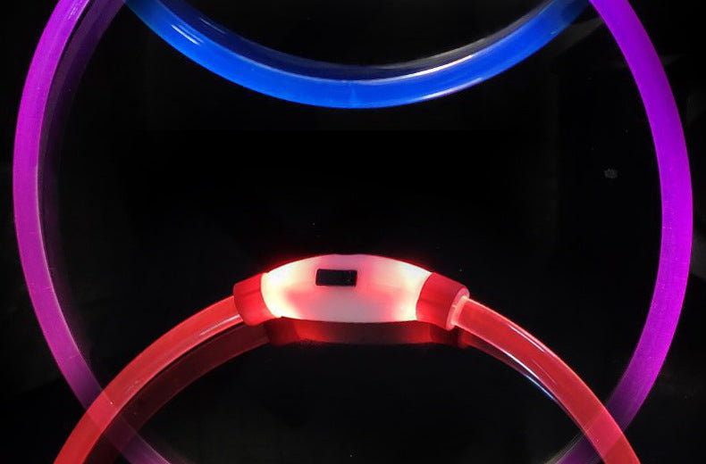 Hundehalsband mit USB-Ladefunktion – Bild 5 | LuxeStyle