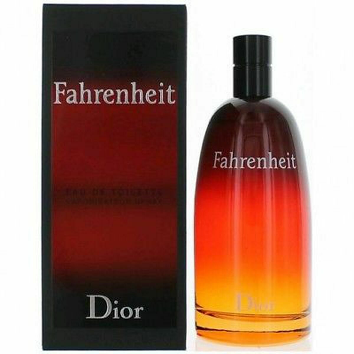 Herrenparfüm Dior Fahrenheit 100 ml EDT 100 ml