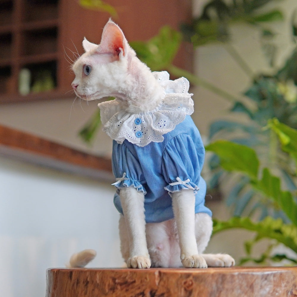 Sommerkleid für Sphynx-Katzen