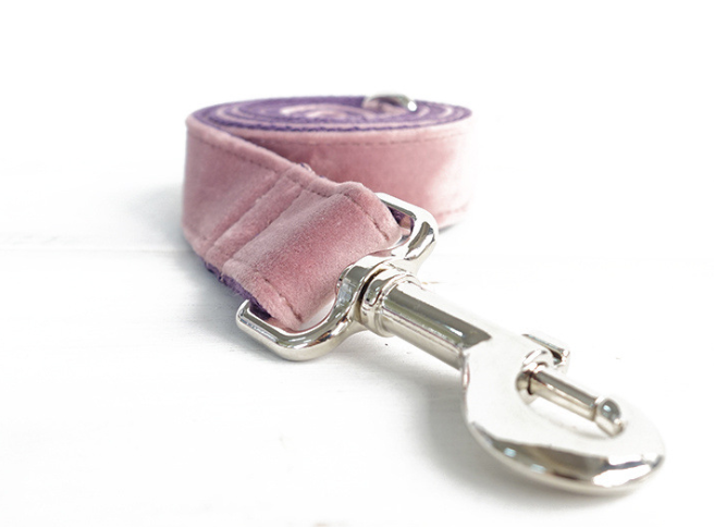 Halsband für Hund – 1–2 Grössen kleiner als EU/US – Bild 2 | LuxeStyle