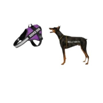 Hunde-Geschirr-Leine