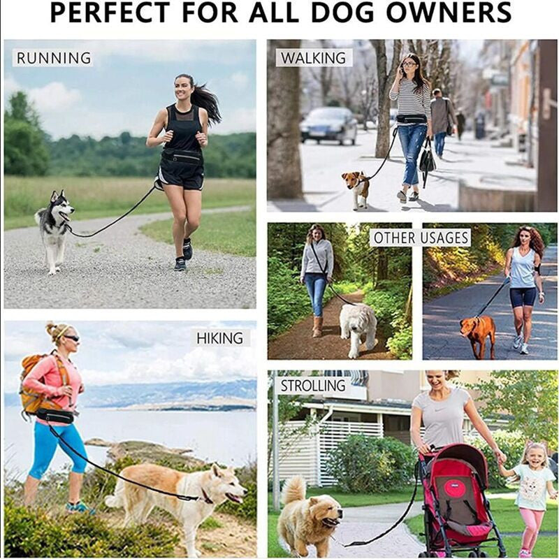 Hüfttasche mit Leine für Hunde – Bild 4 | LuxeStyle