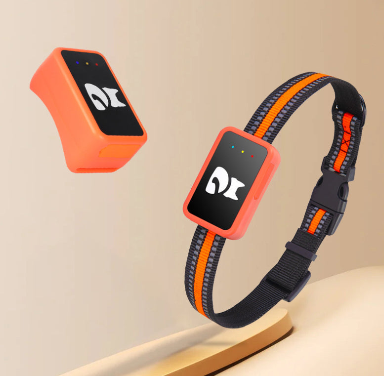 GPS-Halsband für Haustiere: Anti-verloren & Anti-Diebstahl Tracker
