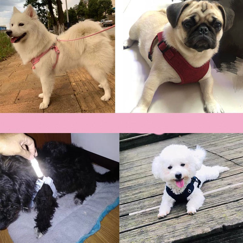 Reflektierende Leine mit Brustgeschirr für Hunde – Bild 4 | LuxeStyle