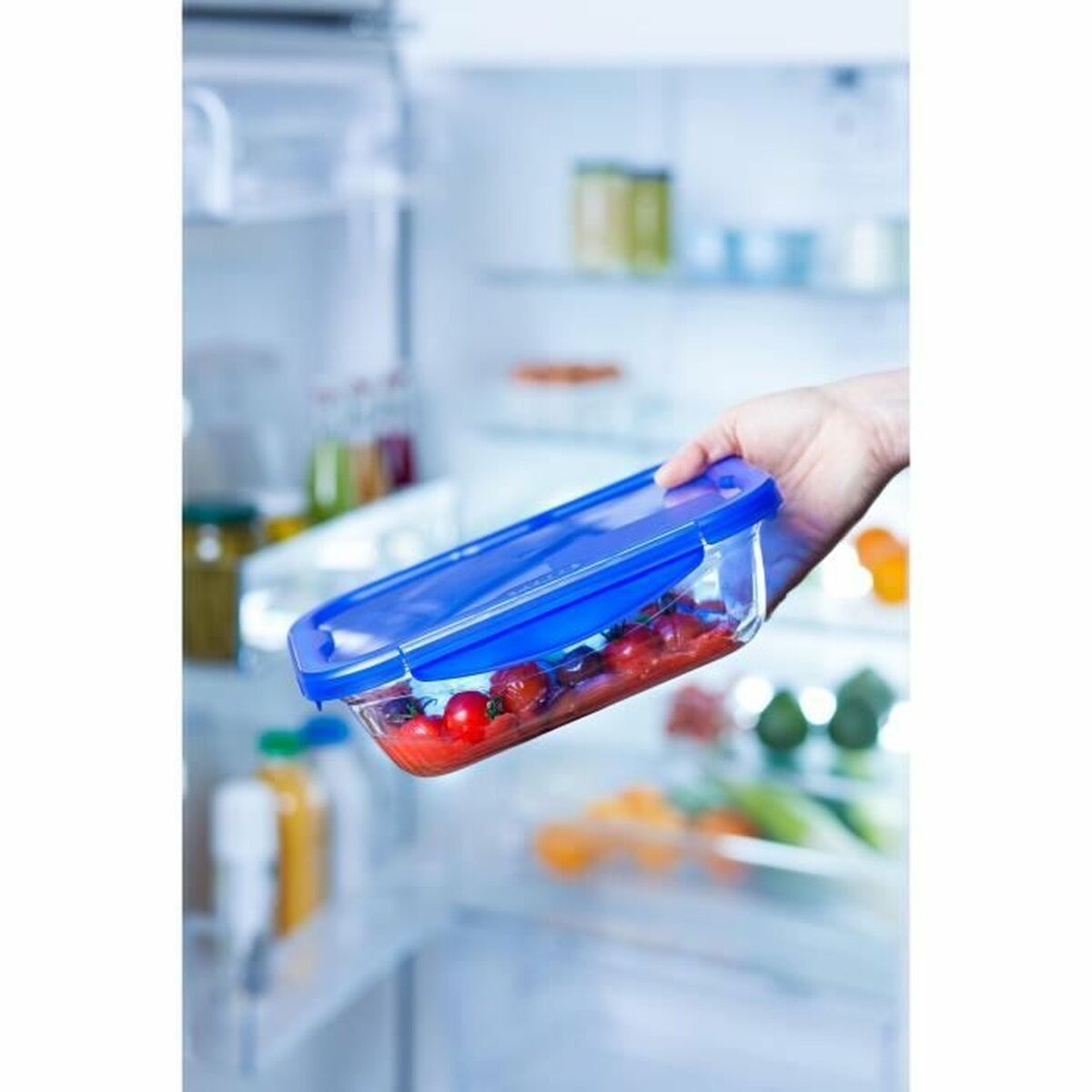 Lebensmittelbehälter Pyrex Blau Durchsichtig rechteckig 800 ml