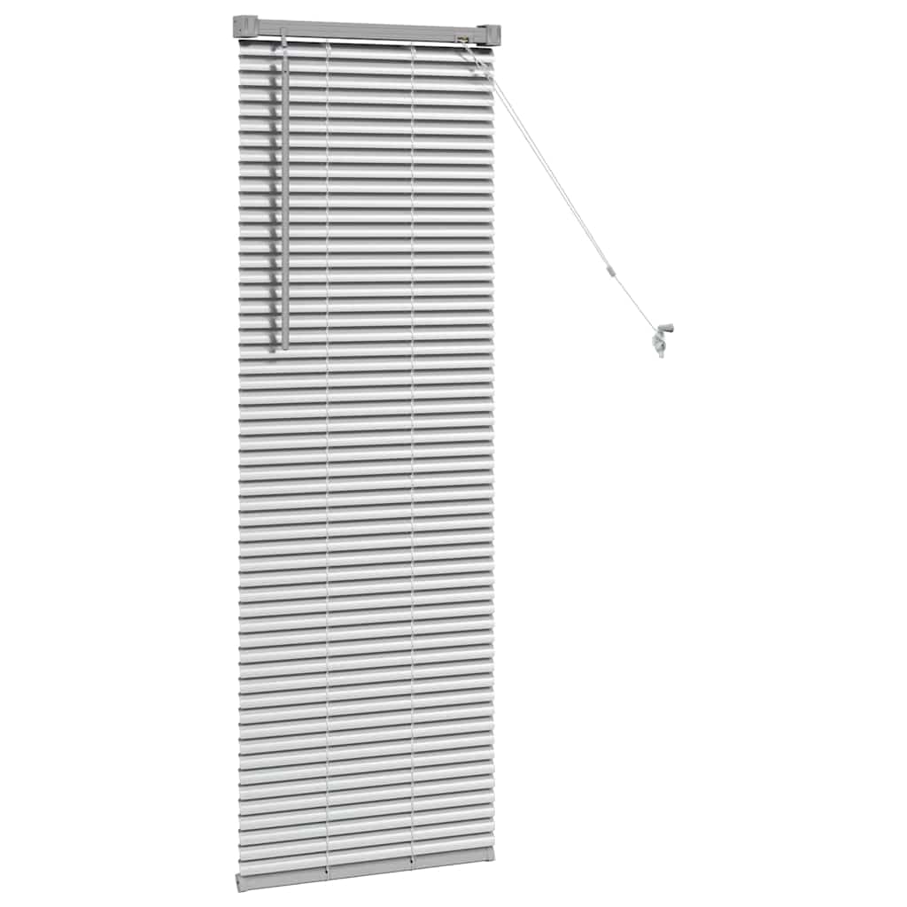 Modernes Jalousie mit Gardinen, silber