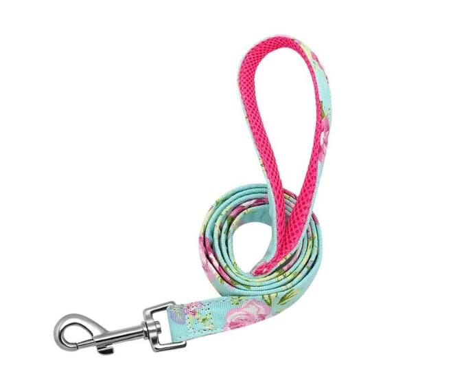 Nylon-Hundeleine für personalisiertes Halsband – Bild 4 | LuxeStyle