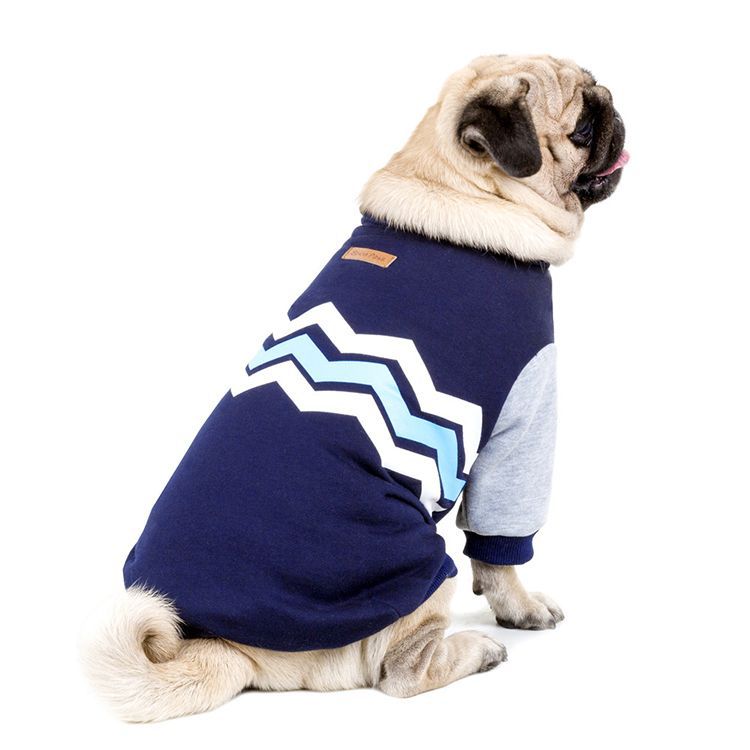 Hundewärmer Sweatshirt aus Baumwolle | LuxeStyle