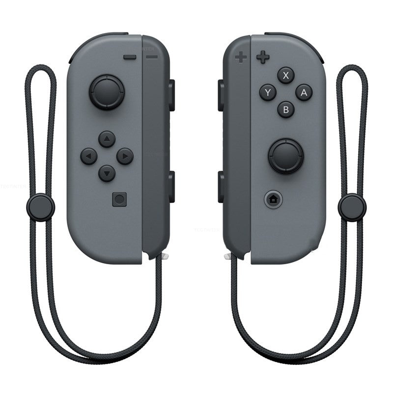 NS Dual Gamepad mit Handschlaufe