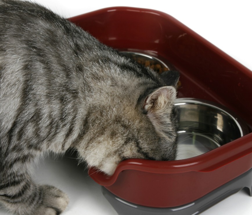 Doppelschale für Hund & Katze aus Edelstahl – Bild 10 | LuxeStyle