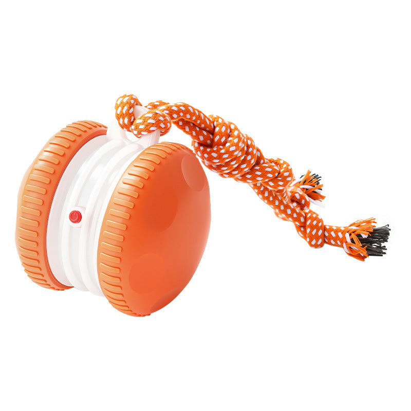 Interaktiver Rollball für Haustiere – Ref. CJ-2512260741571639900