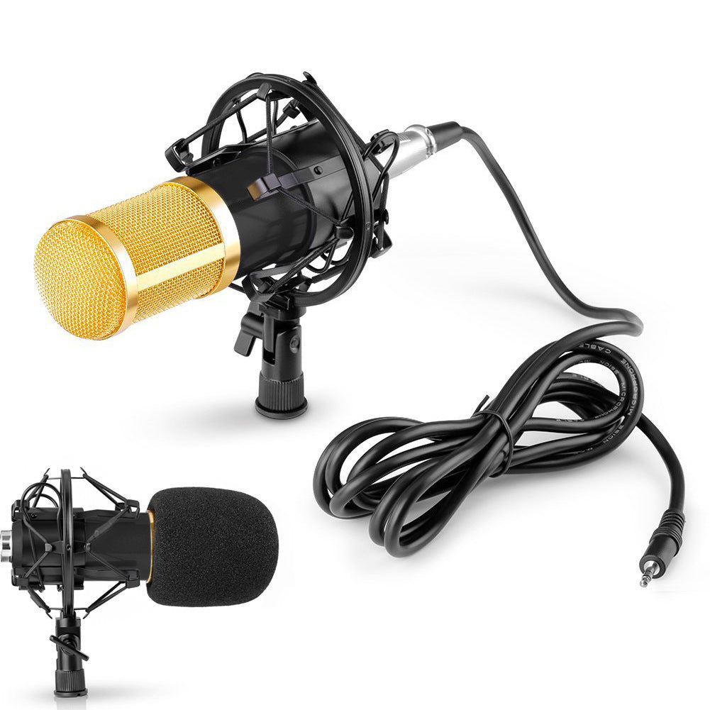 BM800 Kondensator-Mikrofon Set