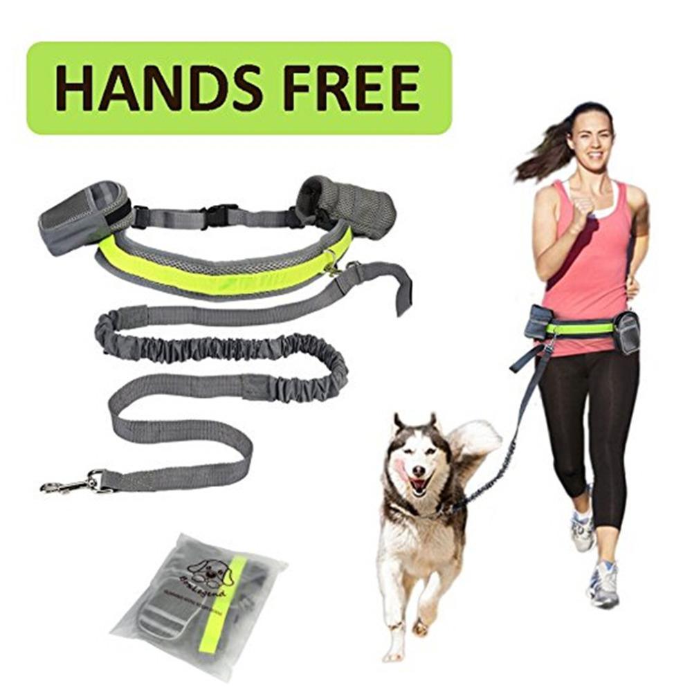 Verstellbare Hands-Free Hundeleine – Bild 6 | LuxeStyle