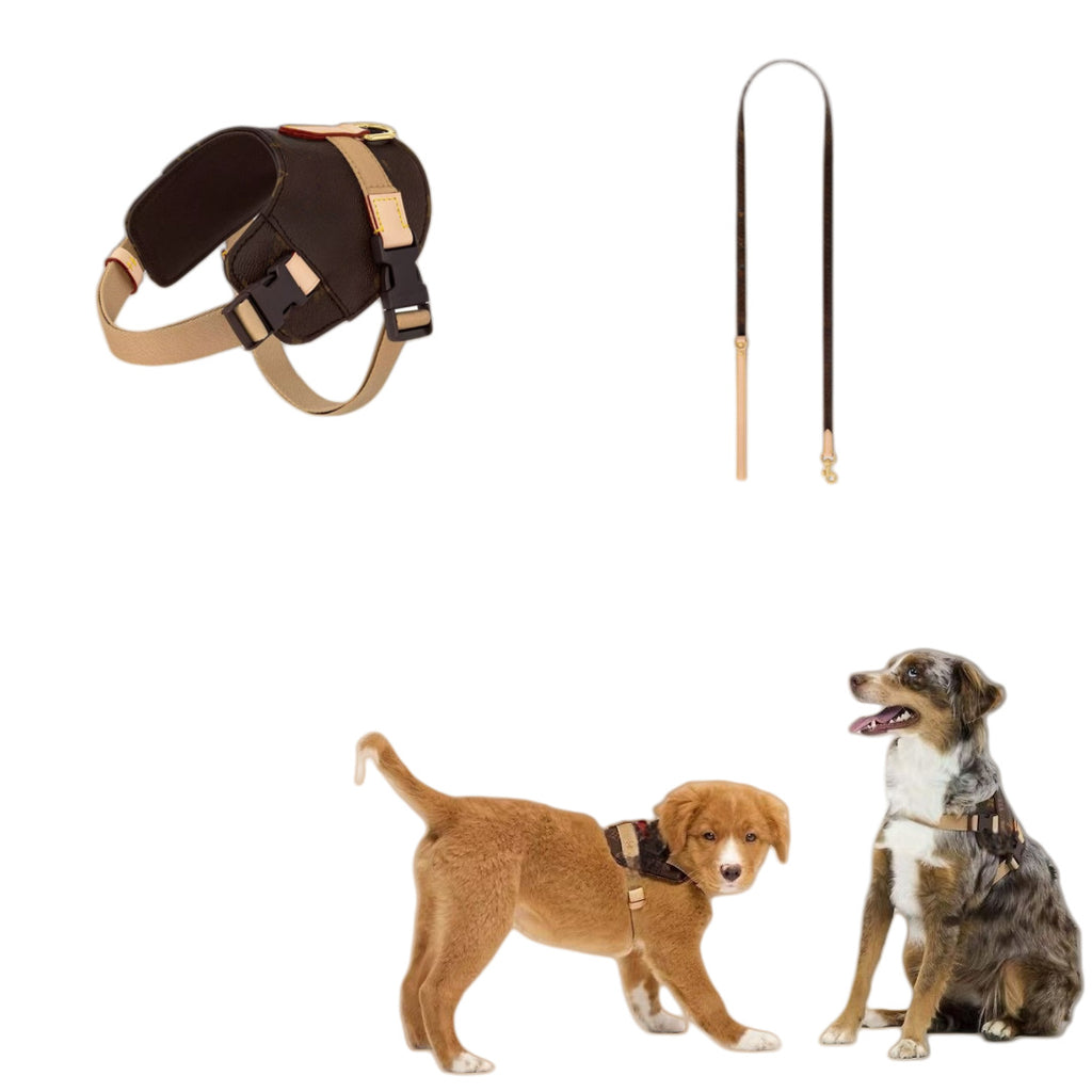 Leder-Halsband für Hunde, Kaffee-Blumenmuster