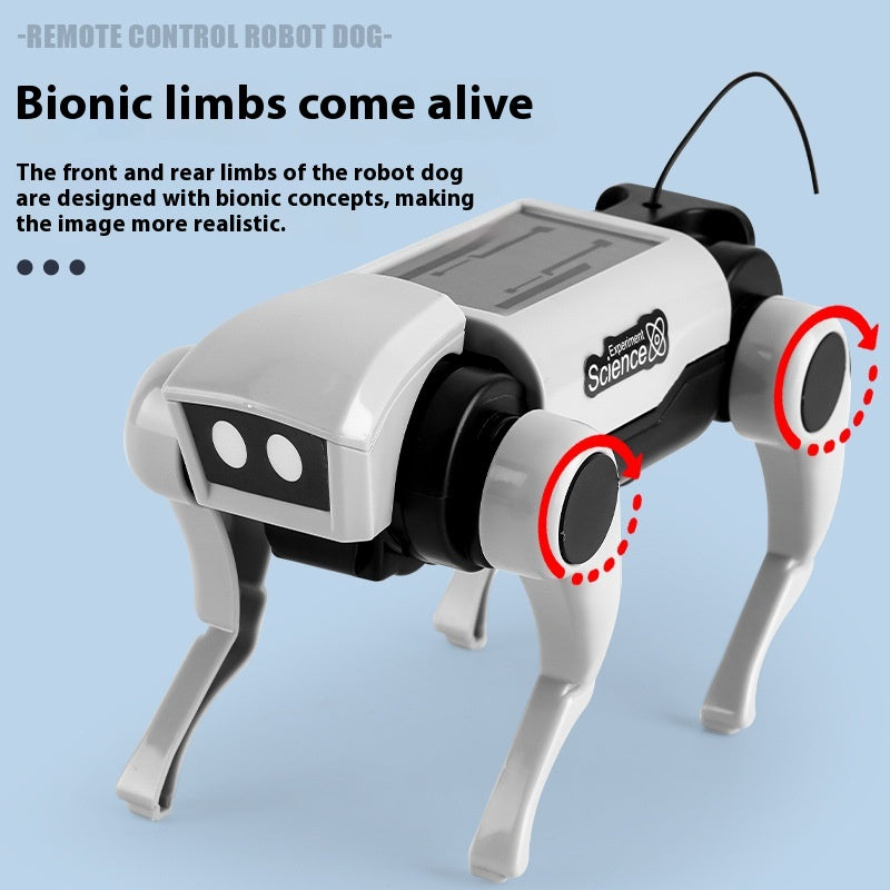 RC-Roboterhund & -Katze 2-in-1 Bausatz