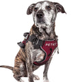 Hunde-Brustgeschirr aus Nylon | LuxeStyle