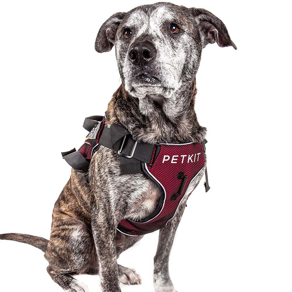 Hunde-Brustgeschirr aus Nylon | LuxeStyle