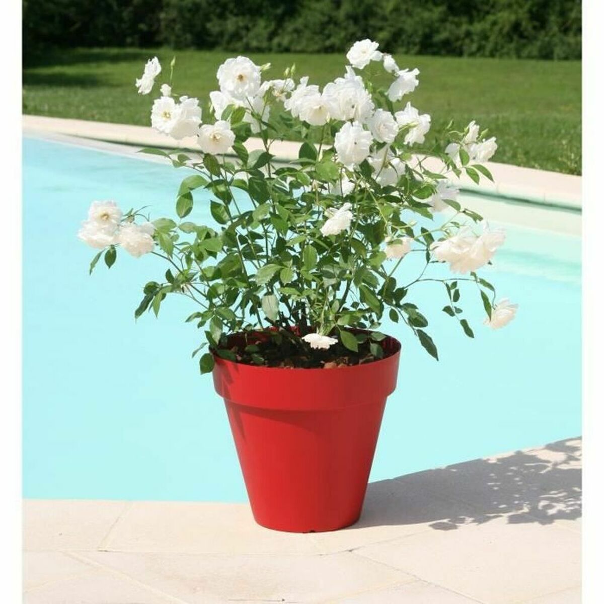 Blumentopf Riviera Soleilla 60 x 54 cm Rot Intensiv rund kreisförmig Ø