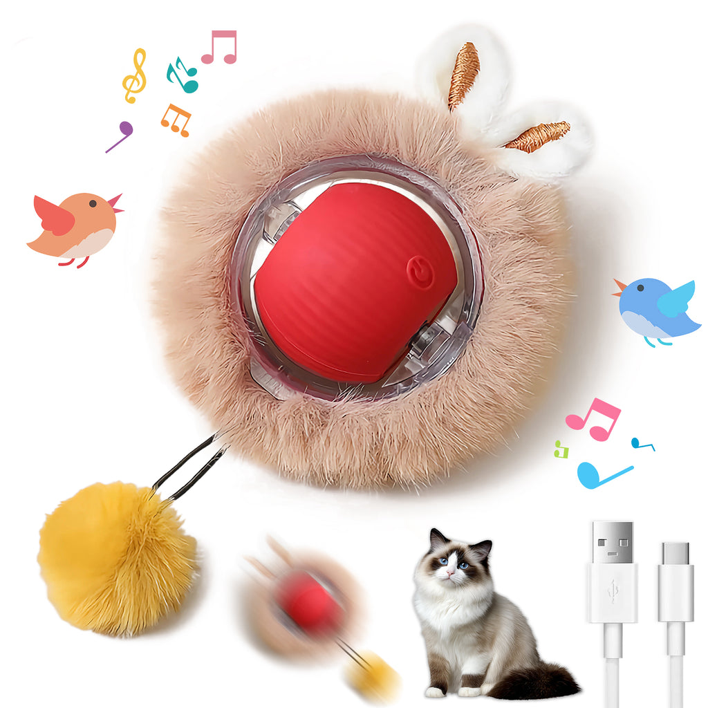 Interaktiver Spielball für Haustiere