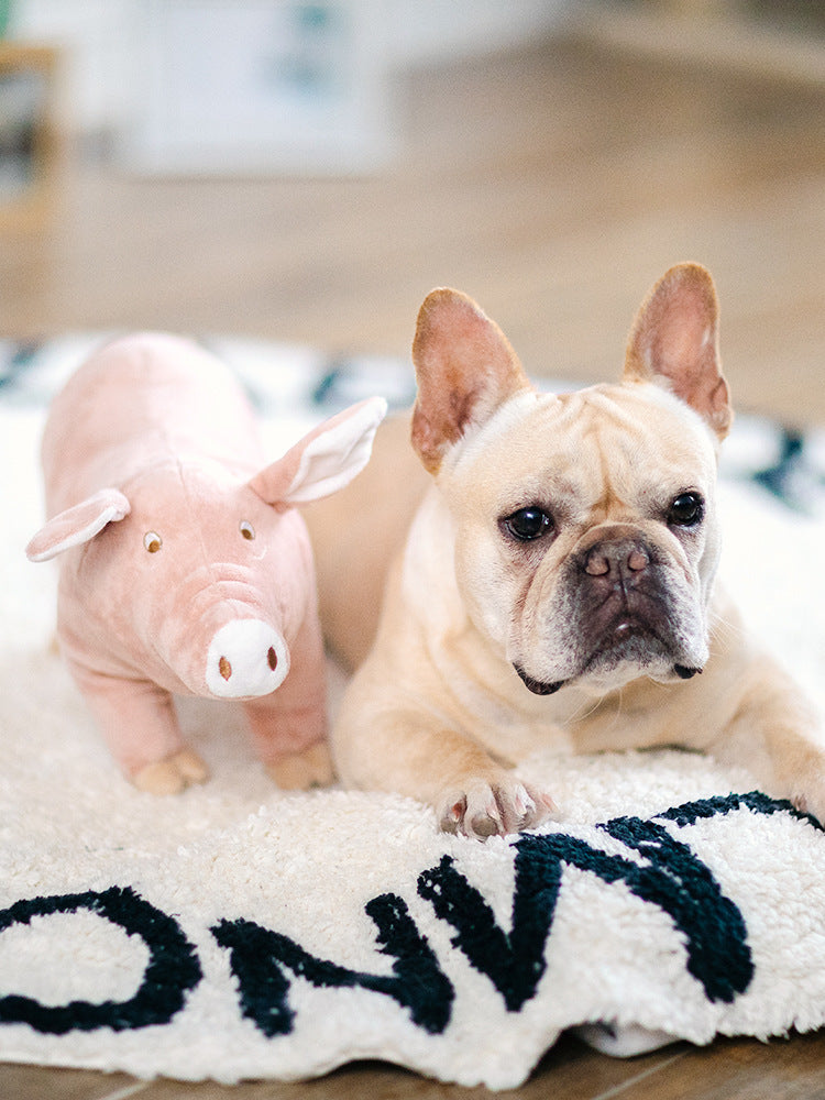 Plüsch-Schwein für ruhige Hunde-Nächte – Bild 6 | LuxeStyle