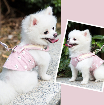 Hundegeschirr-Set für kleine bis mittelgrosse Hunde – Bild 7 | LuxeStyle