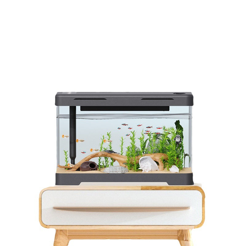 Klassischer Acryl Aquarium