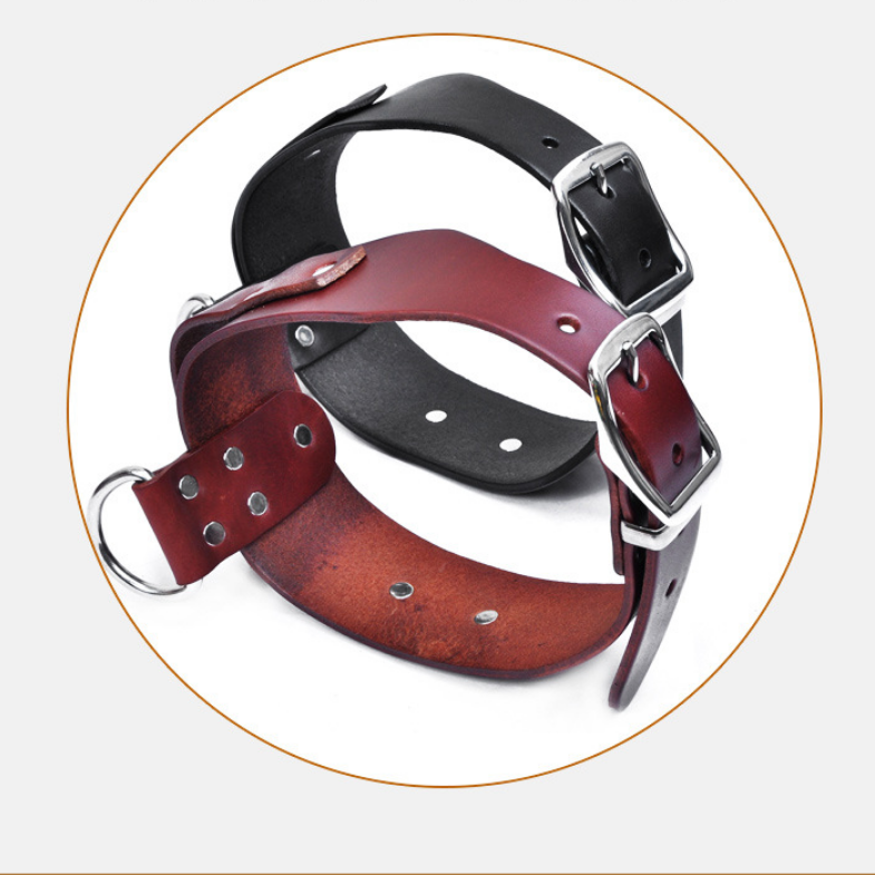 Verstellbares Hundehalsband für mittlere bis grosse Hunde – Bild 5 | LuxeStyle