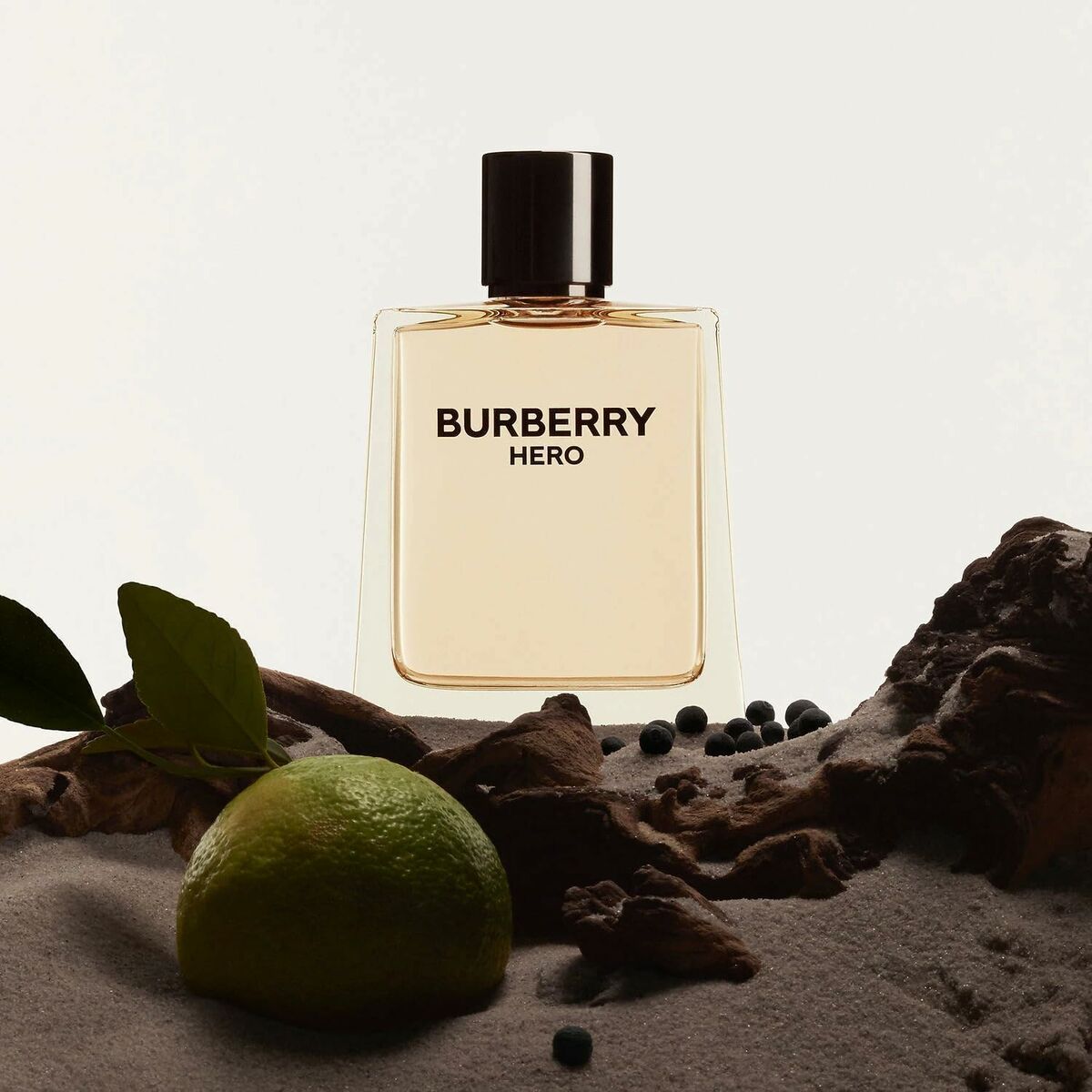 Herrenparfüm Burberry Hero EDT 100 ml Hero