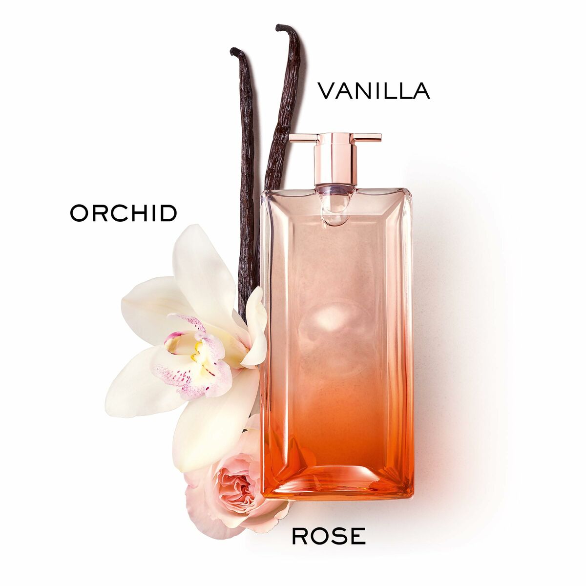 Damenparfüm Lancôme Idôle Now EDP 100 ml