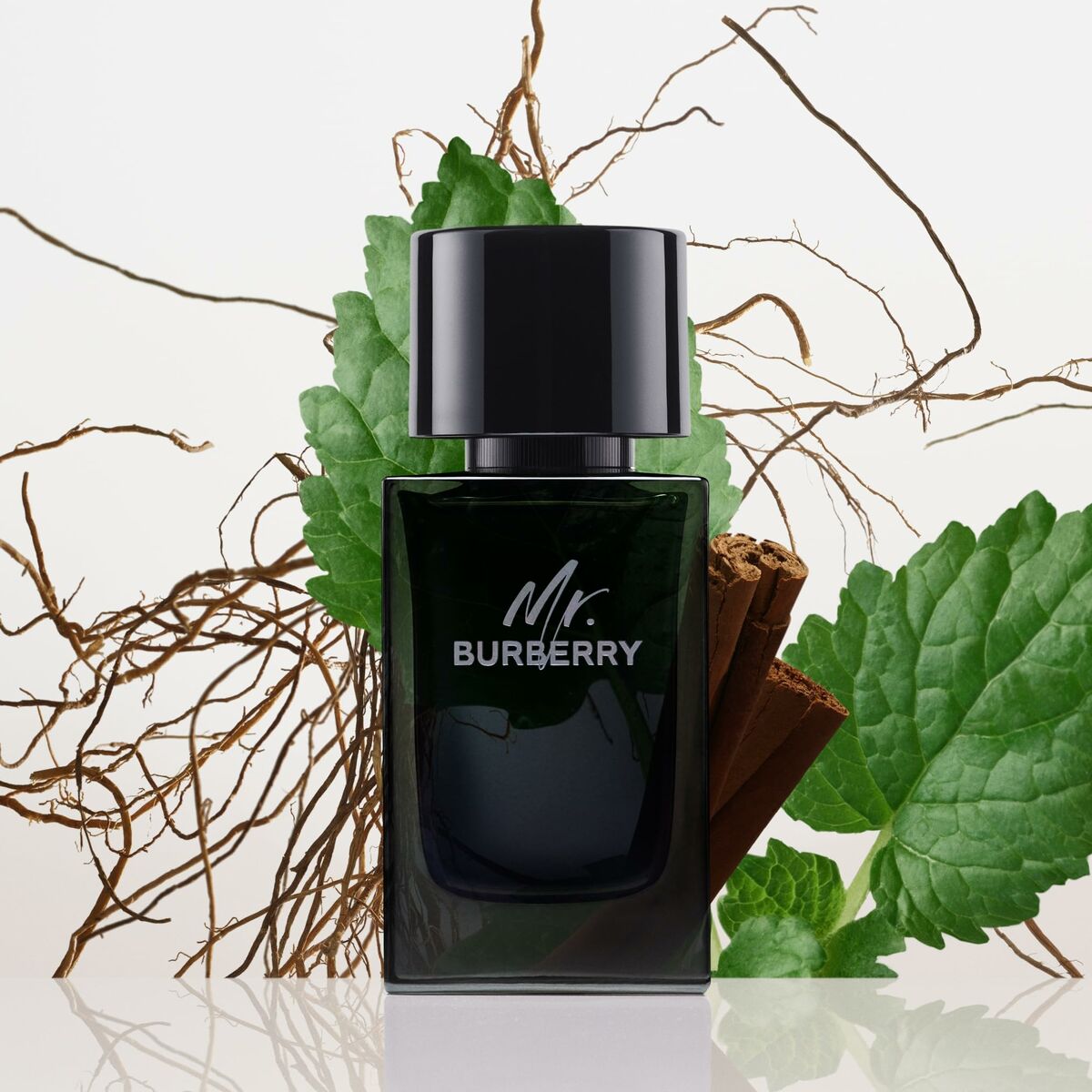 Herrenparfüm Burberry Mr. Burberry EDP 100 ml