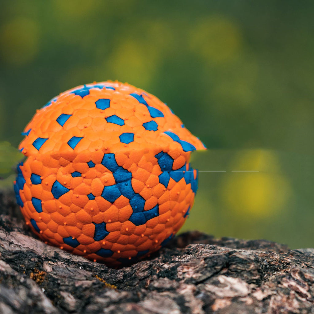 Robustes Kauspielzeug für Hunde – Burst Ball – Bild 2 | LuxeStyle