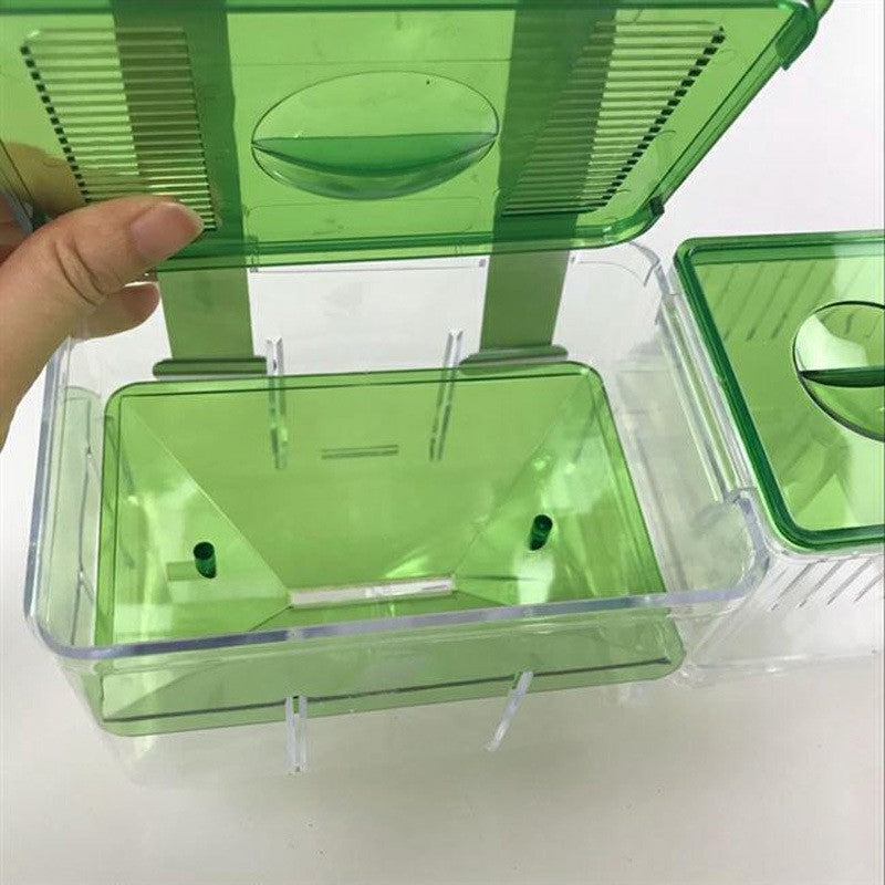 Isolationsbox für kranke Fische