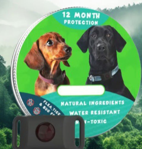 Flohhalsband für Hunde und Katzen