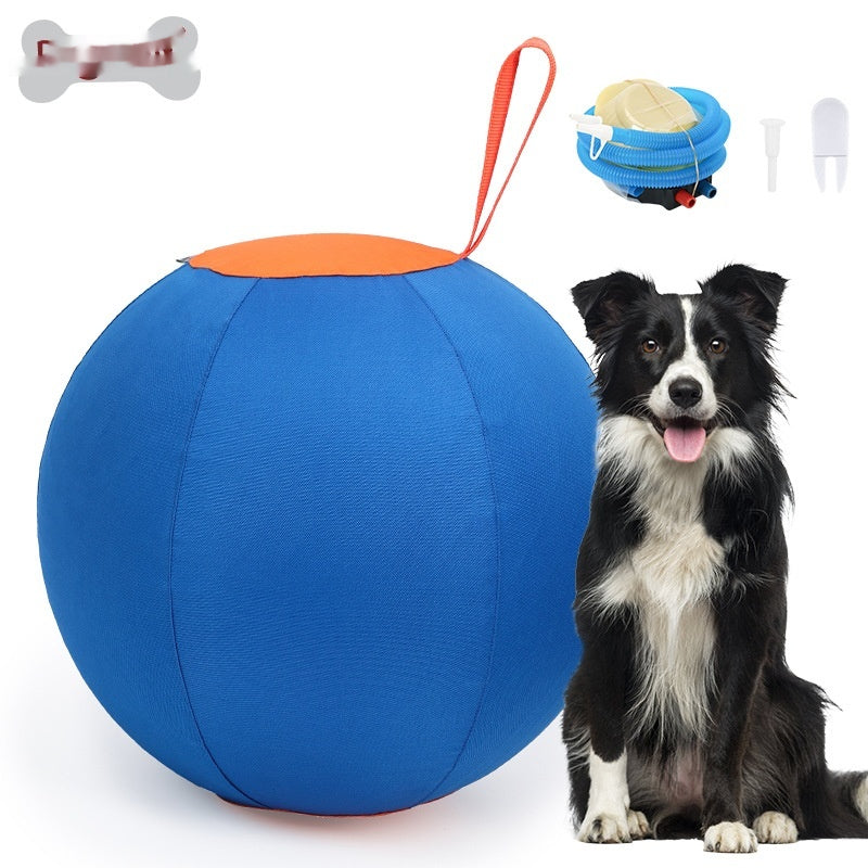 Funny Shiba Inu Corgi Trainingsball