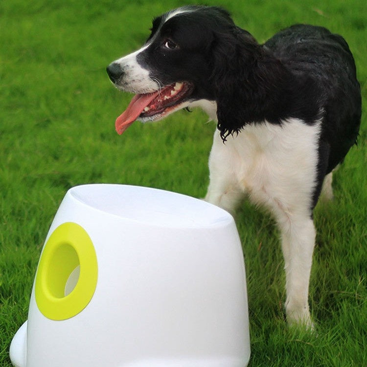 Automatischer Tennisballwerfer für Hunde
