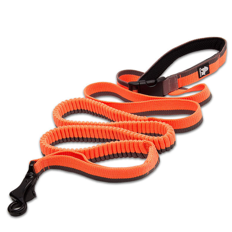 Elastische Hunde-Joggingleine – Bild 6 | LuxeStyle