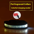 Leucht-Hundehalsband – Bild 1 | LuxeStyle