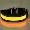 Leuchtendes Hundehalsband mit Solar- und USB-Ladefunktion | LuxeStyle